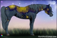 Horse Color:ERROR: UNKNOWN ANOMALY Brindle