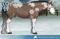 Horse Color:Liver Red Dun Ice Splash  Brindle