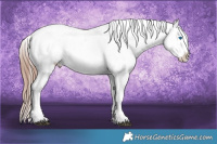 Horse Color:Liver Red Dun Splash Varnish  Brindle