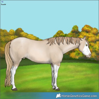 Horse Color:Liver Red Dun Pearl Splash  Brindle
