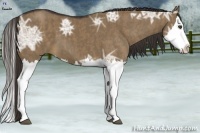 Horse Color:Liver Red Dun Ice Splash  Brindle
