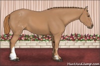 Horse Color:White Spotted Chestnut Sabino Frame