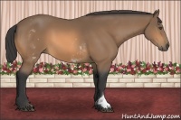 Horse Color:White Spotted Buckskin Sabino Frame 