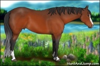 Horse Color:Brown Sabino 