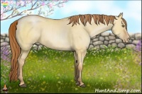 Horse Color:Bay Pearl Dun Sabino