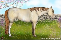 Horse Color:White Spotted Bay Pearl Dun Sabino 