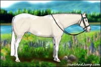 Horse Color:Silver Perlino Tobiano Frame 