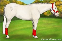 Horse Color:Silver Smoky Grullo Pearl Rabicano 