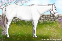 Horse Color:Bay Splash Varnish Rabicano 