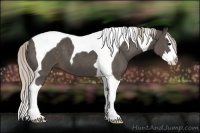 Horse Color:Silver Black Splash Tobiano 