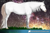 Horse Color:White Spotted Liver Chestnut Ice Appaloosa 