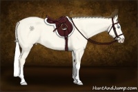 Horse Color:Cremello Dun Splash 