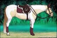 Horse Color:Bay Pearl Dun Tobiano 
