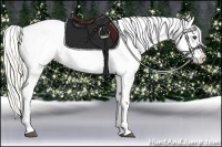 Horse Color:Palomino Snowflake Varnish Brindle