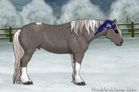 Horse Color:Silver Black Sabino Tobiano 