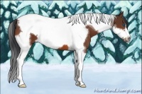 Horse Color:Bay Tobiano Frame