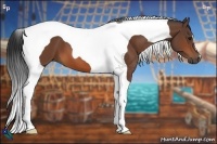 Horse Color:Bay Tobiano 