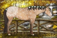 Horse Color:Amber Champagne Splash Frame