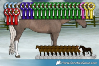 Horse Color:Silver Black Tobiano