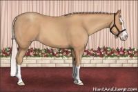 Horse Color:Silver Amber Champagne Splash 