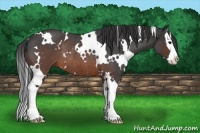Horse Color:White Spotted Brown Roan Splash Rabicano