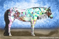 Horse Color:Bay Tobiano 