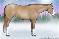 Horse Color:Black Pearl Splash 