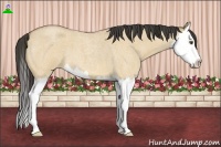 Horse Color:Buckskin Roan Dun Splash