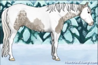 Horse Color:Silver Smoky Black Ice Sabino Splash Tobiano 