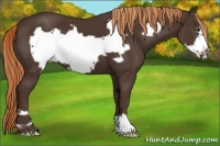 Horse Color:Liver Chestnut Frame 