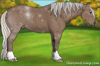 Horse Color:Silver Black 