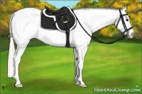 Horse Color:Silver Bay Splash Appaloosa 