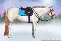 Horse Color:Buckskin Pearl Dun Tobiano 