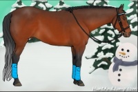 Horse Color:Brown Sabino