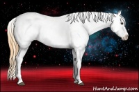 Horse Color:Buckskin Varnish 
