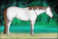 Horse Color:White Spotted Chestnut 
