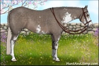Horse Color:Silver Black Sabino 