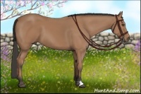 Horse Color:Buckskin 