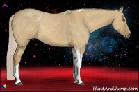 Horse Color:Palomino Dun Tobiano