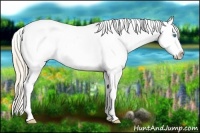 Horse Color:Smoky Creme Roan Appaloosa