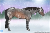 Horse Color:Brown Ice 
