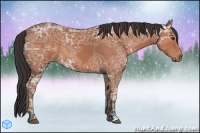 Horse Color:Bay Ice