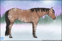 Horse Color:Bay Ice 