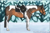 Horse Color:Buckskin Tobiano 