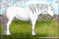 Horse Color:Brown Tobiano Varnish Rabicano 