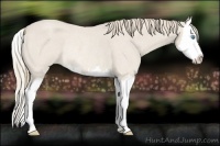 Horse Color:Smoky Creme Roan Splash Rabicano 