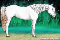 Horse Color:Buckskin Varnish 