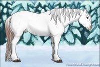 Horse Color:Bay Splash Tobiano Appaloosa 