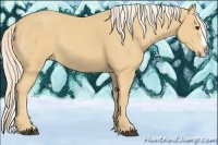 Horse Color:Palomino Sabino Splash