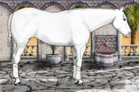 Horse Color:White Spotted Gold Cream Champagne Frame Blanket 